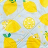 パラソル レジャーマット パラソル レジャーマット