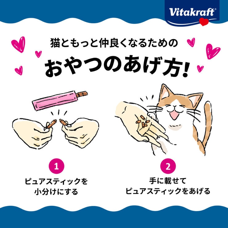 バイタークラフト ピュア スティック 5g x 52本 バイタークラフト ピュア スティック 5g x 52本