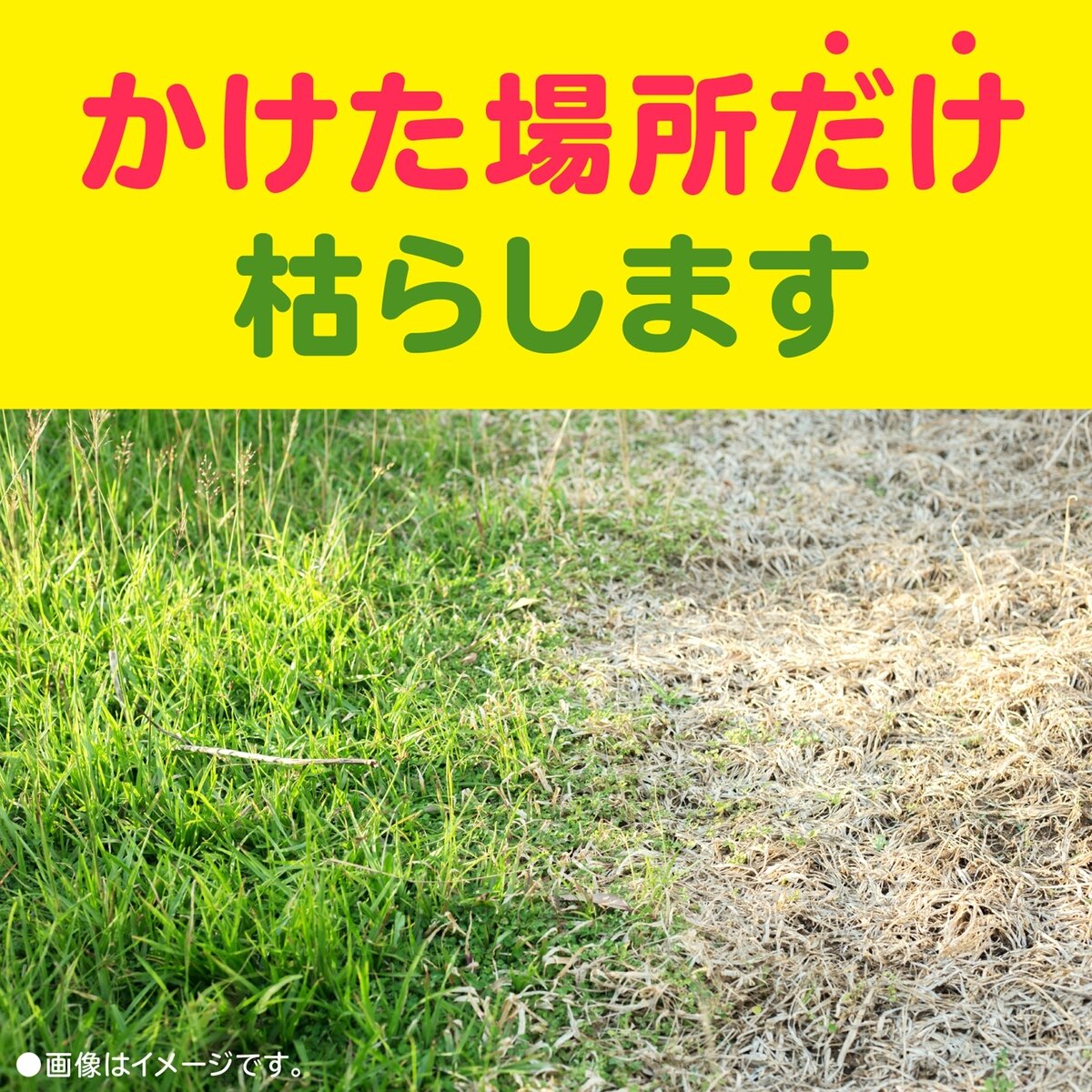 Earth Garden Kusakorori Liquid Herbicide 6L Earth Garden Kusakorori Liquid Herbicide 6L
