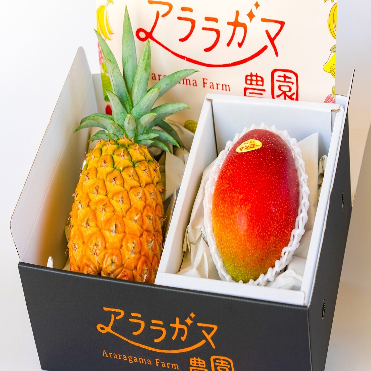 【6月25日頃から順次発送予定】パイン&マンゴーセット 1.4kg 【6月25日頃から順次発送予定】パイン&マンゴーセット 1.4kg