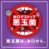 リステリントータルケアゼロプラス 1L x 4本セット リステリントータルケアゼロプラス 1L x 4本セット