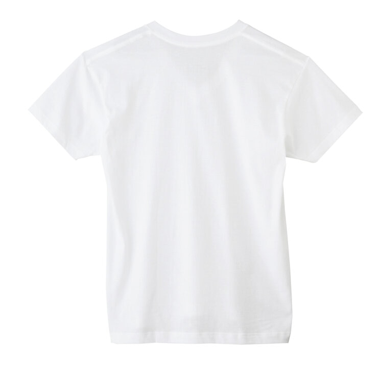 ボディワイルド メンズ Vネック Tシャツ 4枚組 ボディワイルド メンズ Vネック Tシャツ 4枚組