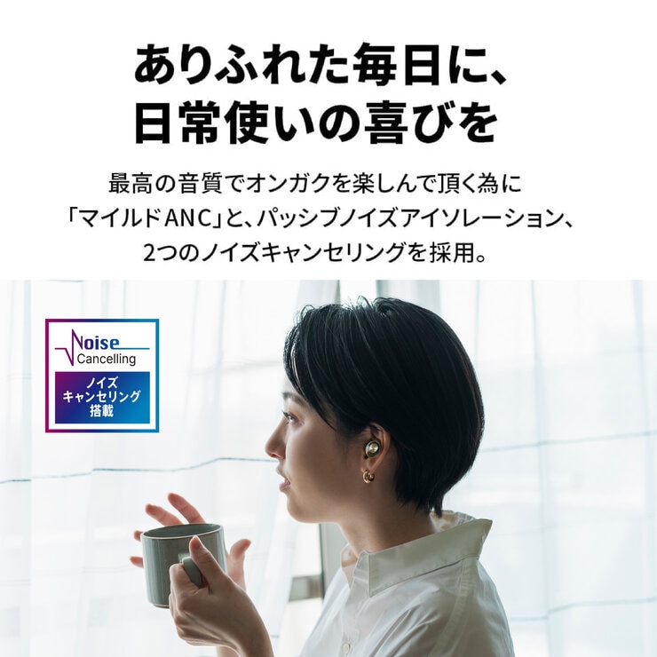 AVIOT 完全ワイヤレスイヤホン TE-D01m AVIOT 完全ワイヤレスイヤホン TE-D01m