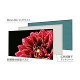 東芝 レグザ 75インチ 4K 量子ドット ミニLED 液晶テレビ 75Z875L