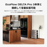 EcoFlow(エコフロー) デルタプロ３専用エクストラバッテリー 容量4,000Wh