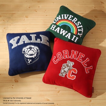 カレッジ デコピロー クッション 45 x 45cm カレッジ デコピロー クッション 45 x 45cm