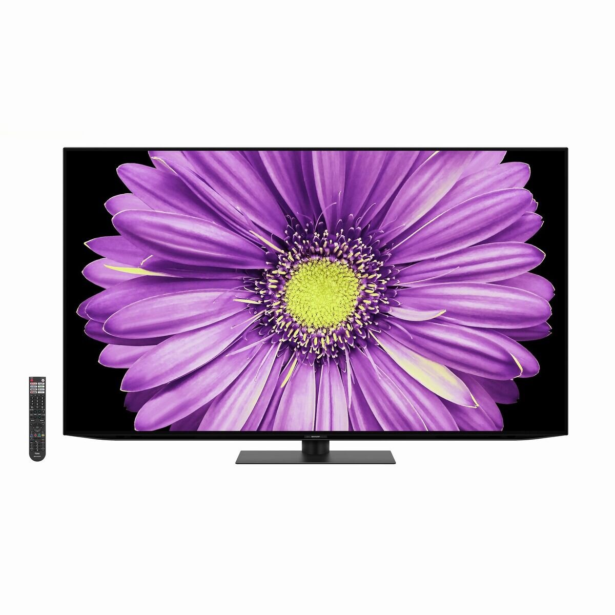 シャープ アクオス 65インチ4K有機ELテレビ 4T-C65DQ2 | Costco 