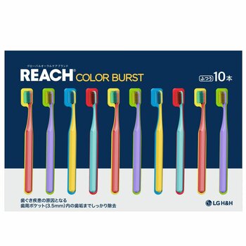 REACH カラーバースト 歯ブラシ 10 本 REACH カラーバースト 歯ブラシ 10 本
