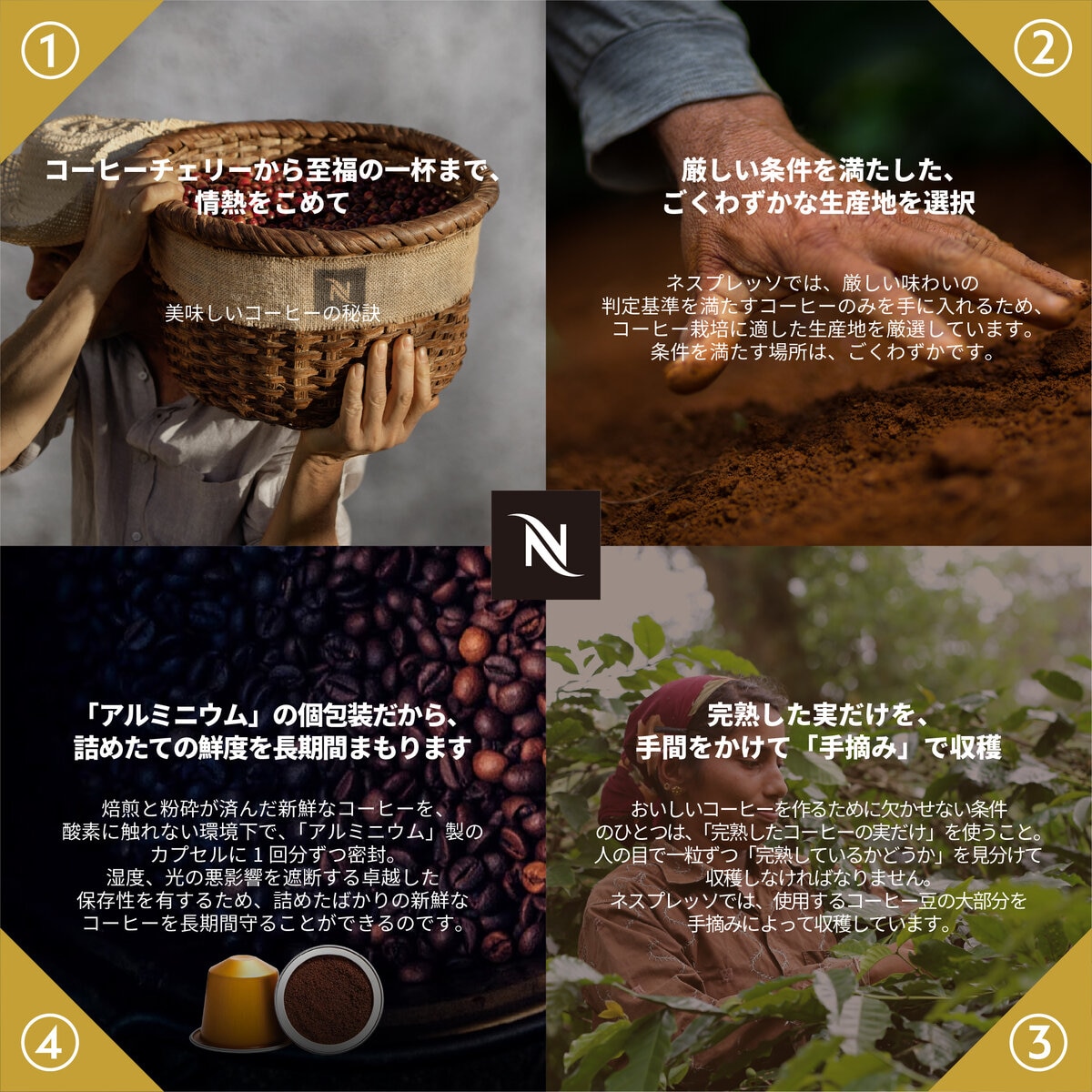 ネスプレッソ エッセンザミニ スペシャルパック ルビーレッド ネスプレッソ エッセンザミニ スペシャルパック ルビーレッド