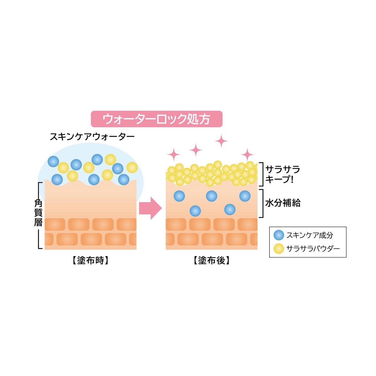 アピュー ウォーターロック サラサラパクト 本体+詰替え スペシャル