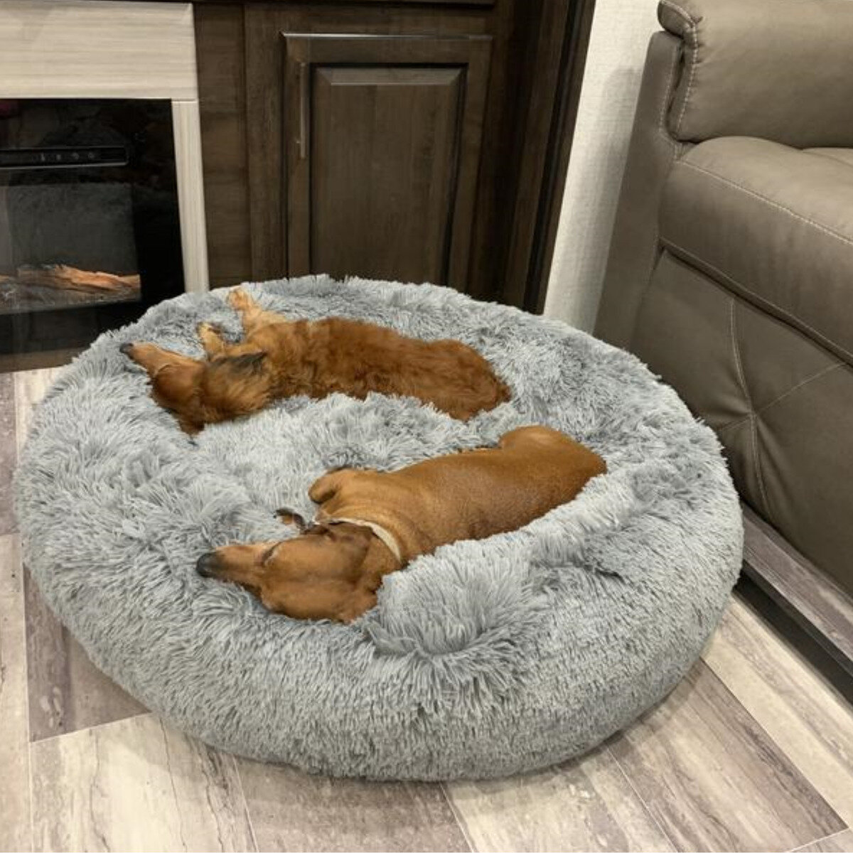 donut dog bed costco