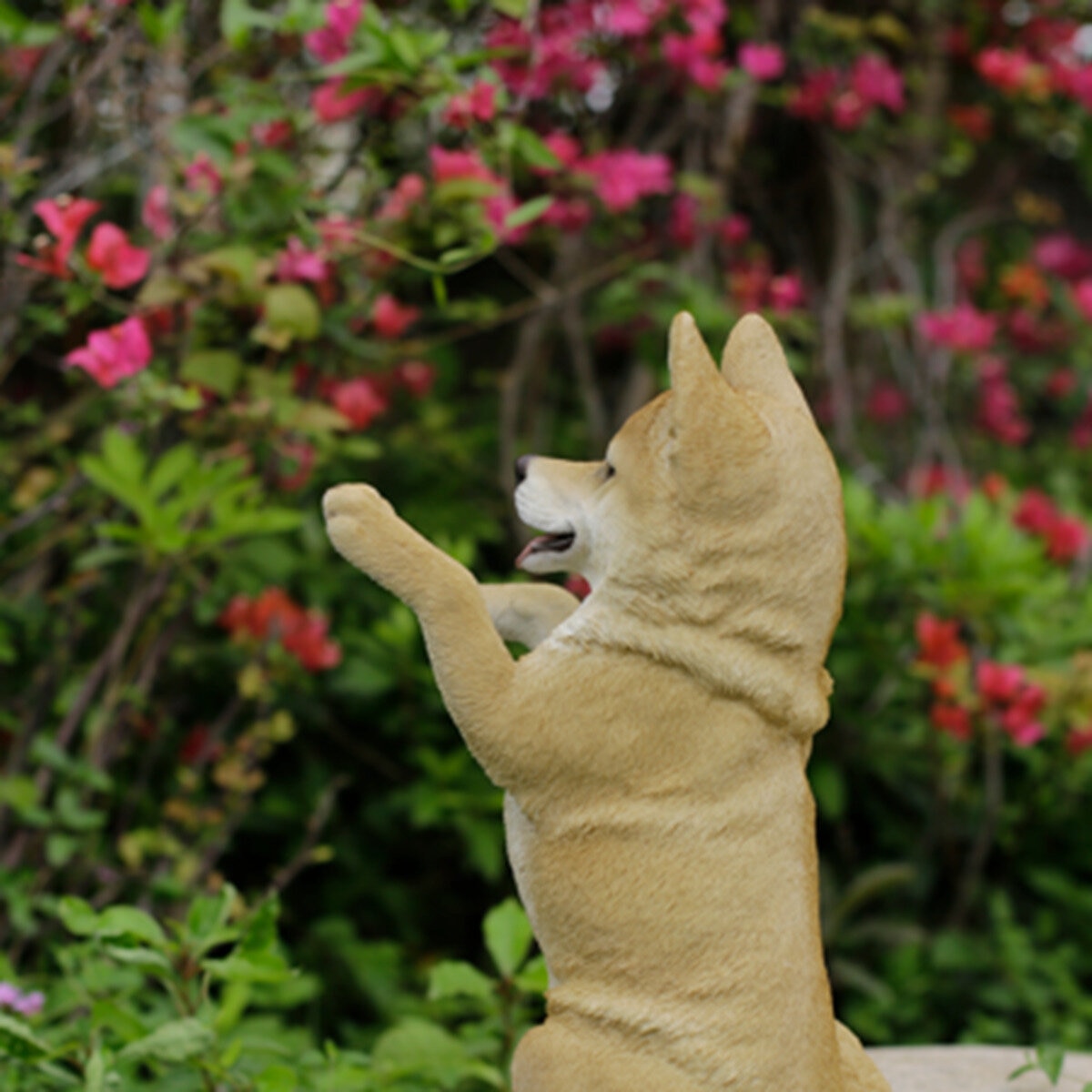 ウービア 手をあげる柴犬の置物H21048 | Costco Japan