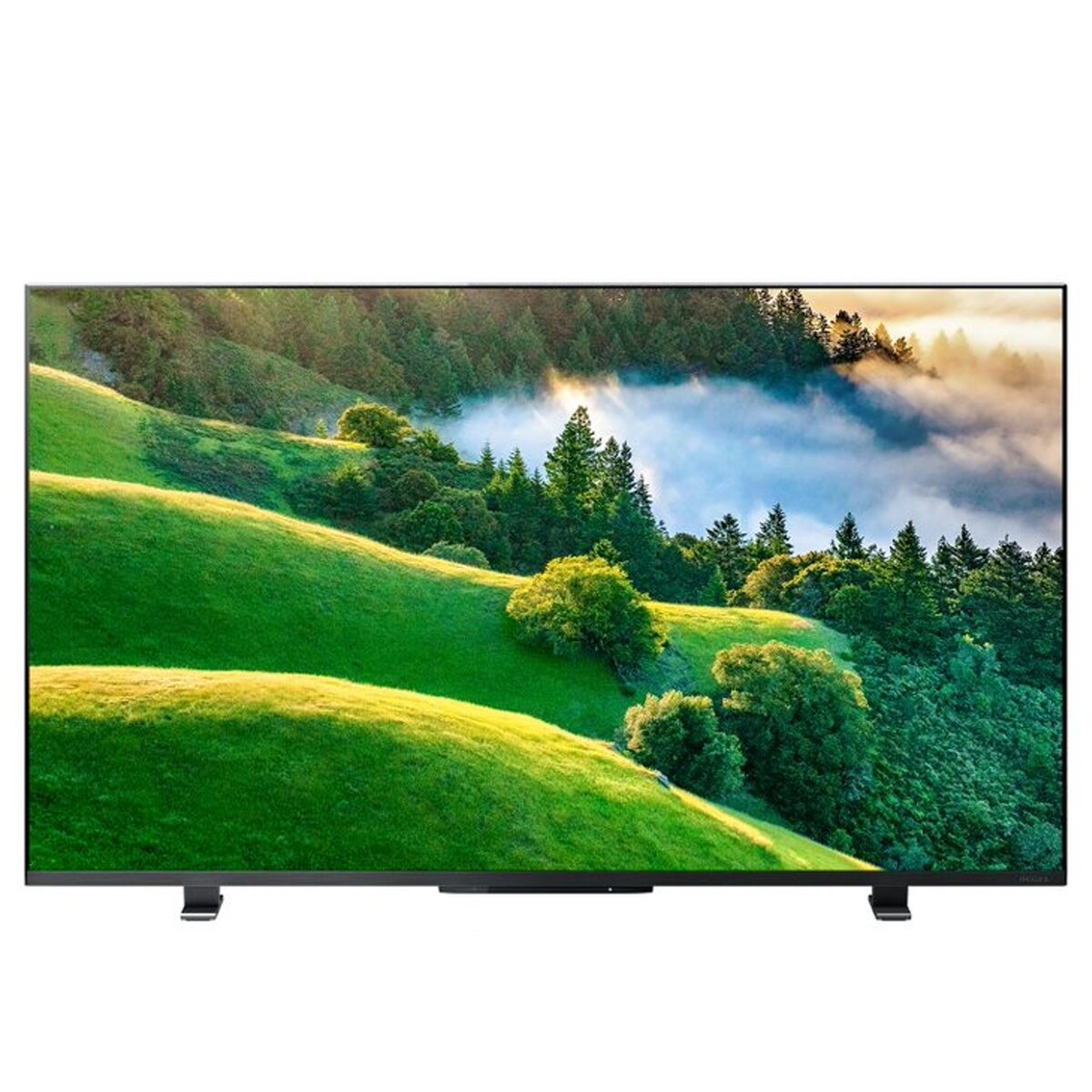 東芝 レグザ 55インチ 4K HDR液晶テレビ 55M550L | Costco Japan