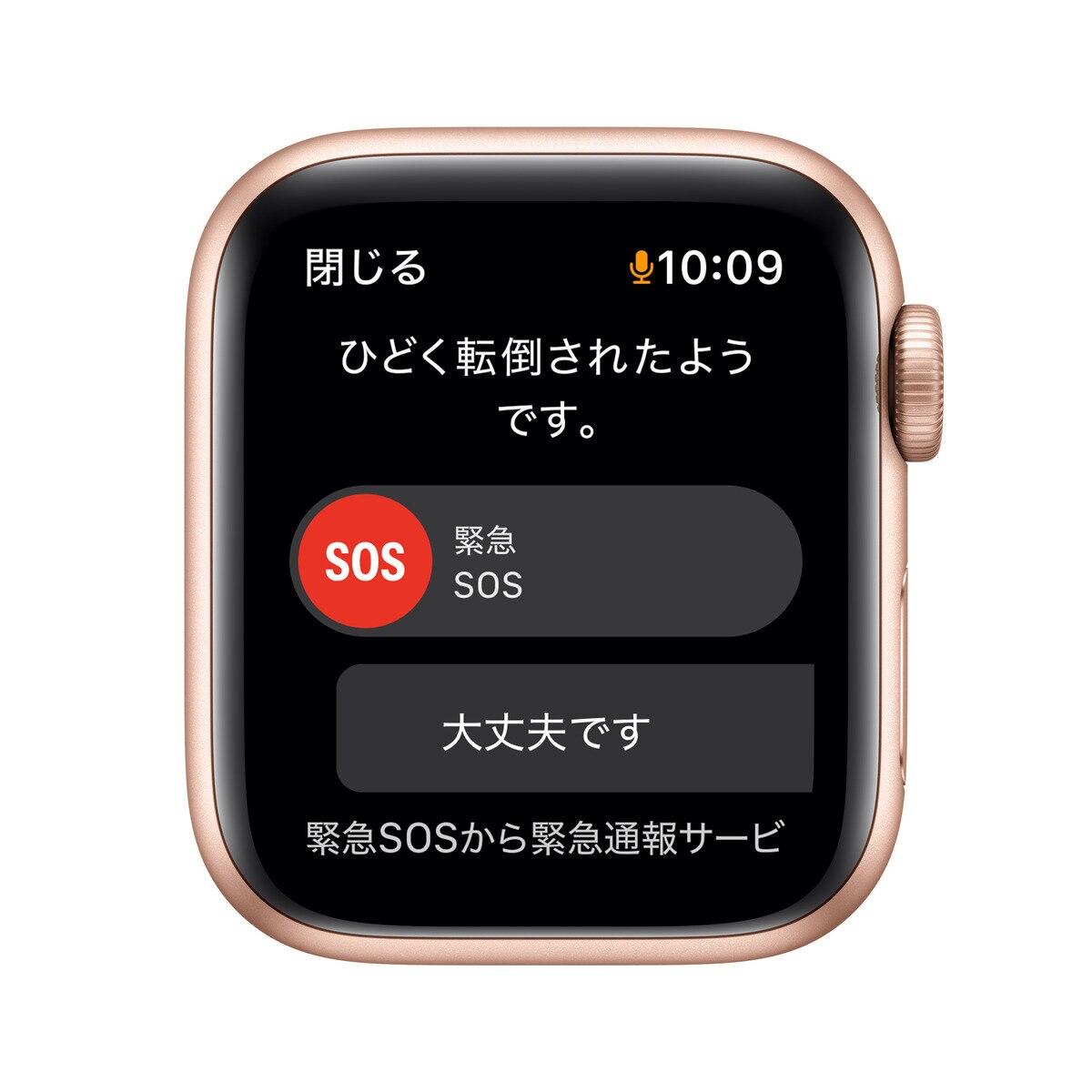 Apple Watch SE GPS 40mm ゴールド アルミニウムケース | Costco Japan