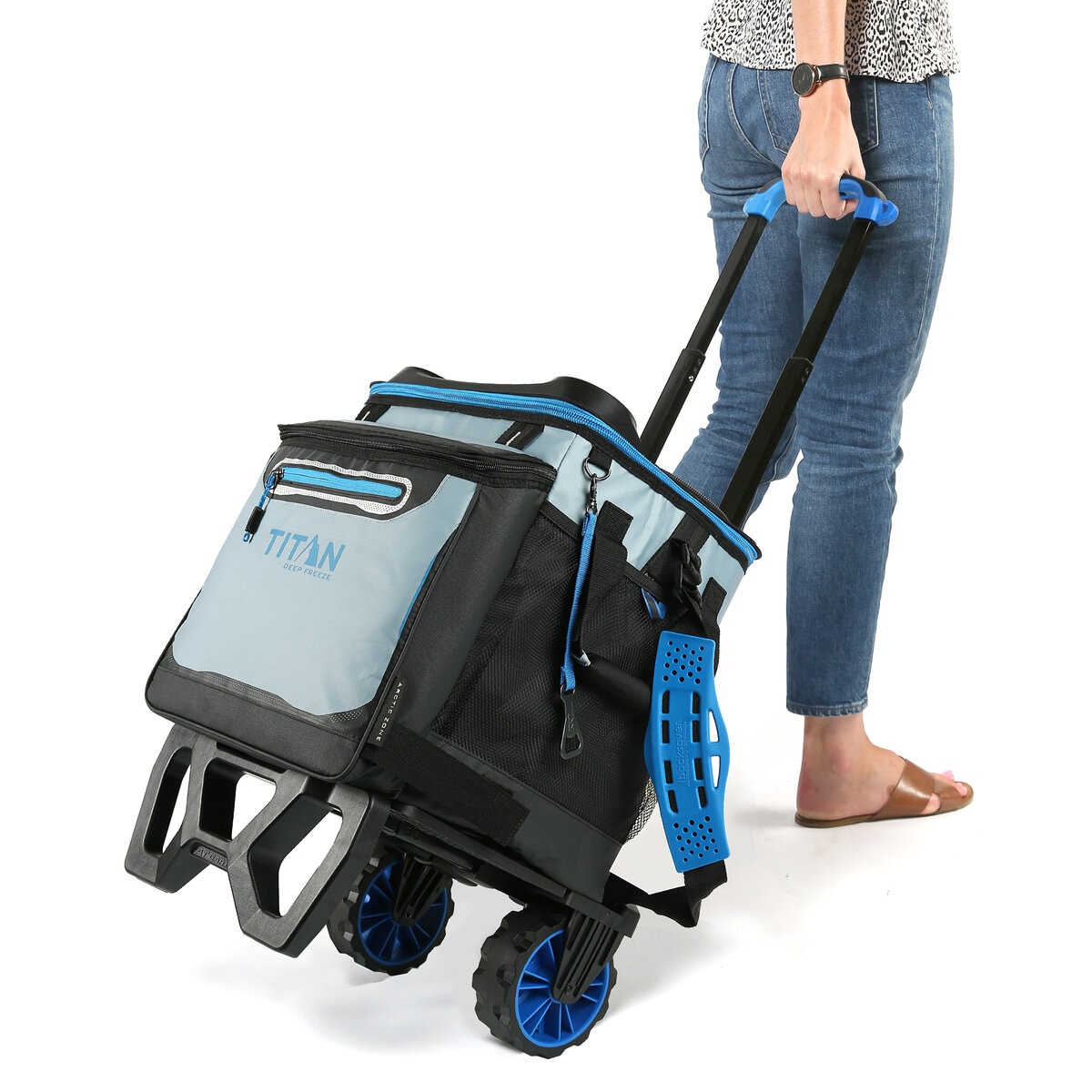 costco roller bag