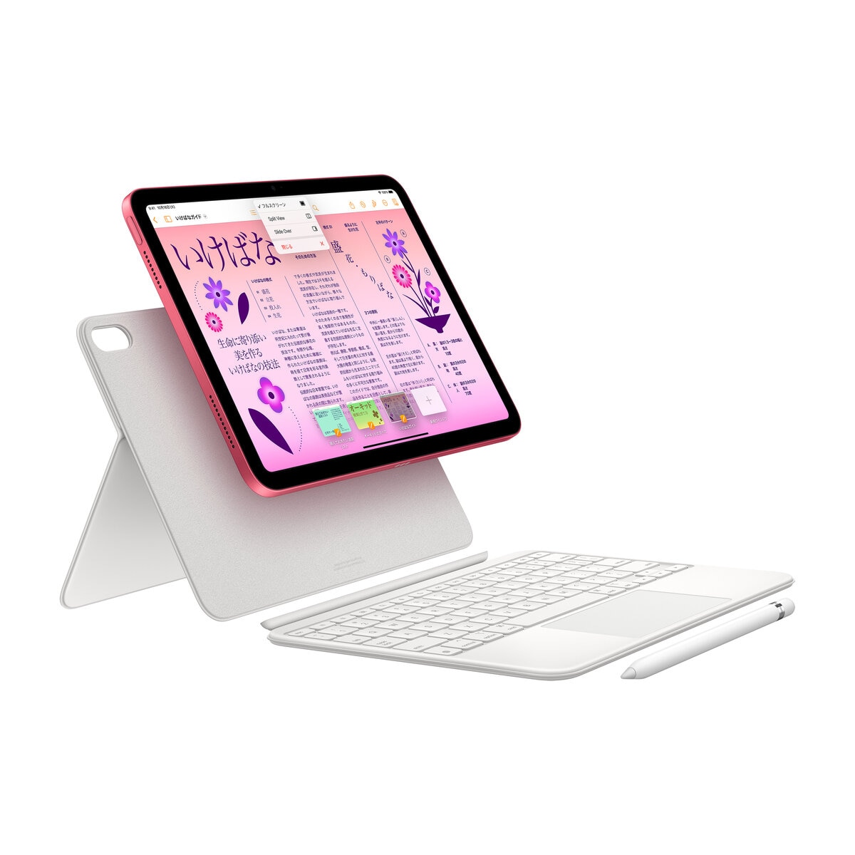 Apple iPad (第10世代) 10.9インチ Wi-Fiモデル 256GB ピンク | Costco