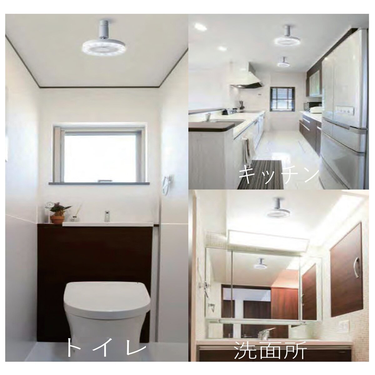 ドウシシャ ルミナス LED ファン付き照明 昼白色 E26ソケットタイプ ドウシシャ ルミナス LED ファン付き照明 昼白色 E26ソケットタイプ