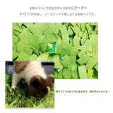 Petique スナッフリング ノーズワークマット 芝生Ver.