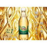 カナダドライ ジンジャーエール 350ml x 24本 x 2ケース ペットボトル