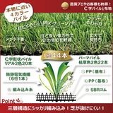 セルデス ナチュラル人工芝 1x10m 芝丈H35mm ＆ 人工芝専用U字固定ピン 50本 セット