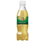 カナダドライ ジンジャーエール 350ml x 24本 x 2ケース ペットボトル