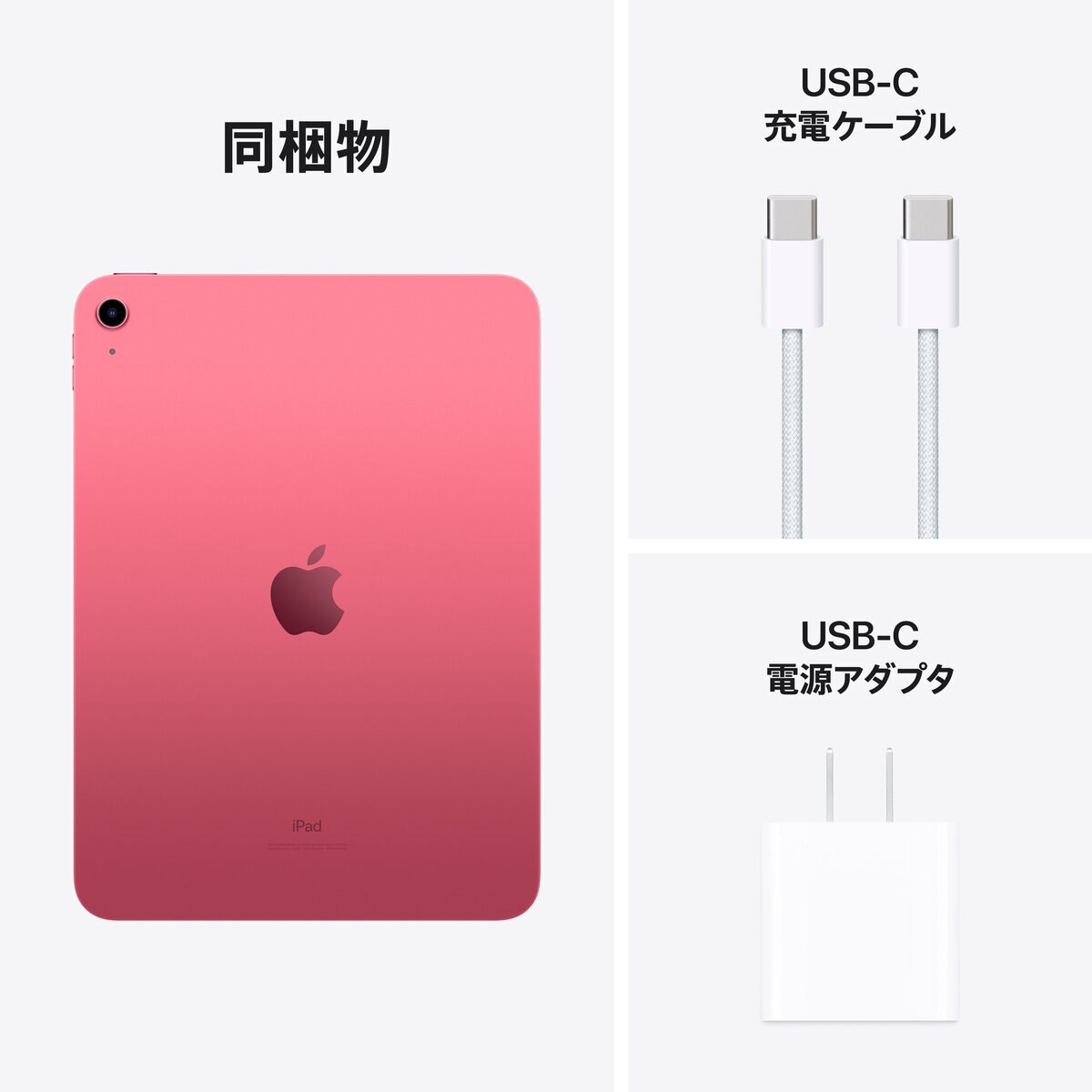 Apple iPad (第10世代) 10.9インチ Wi-Fiモデル 64GB ピンク | Costco