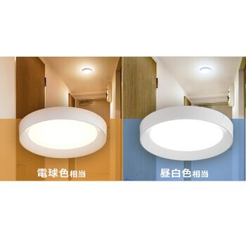室内照明 | Costco Japan