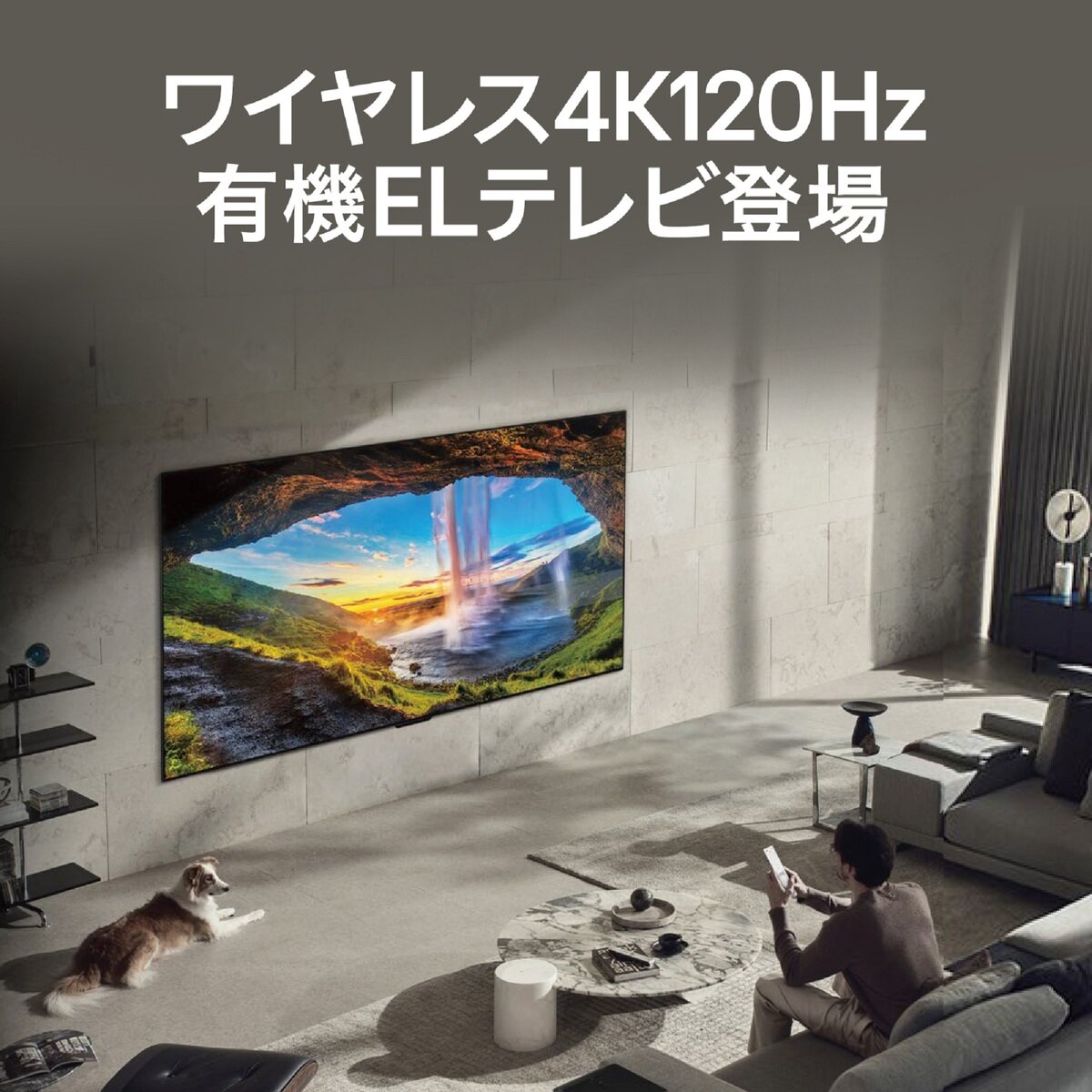 LG 77インチ 4K マイクロレンズアレイ搭載有機ELテレビ OLED77M3PJA