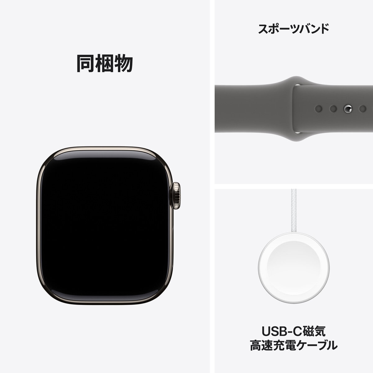 Apple Watch Series 10（GPS + Cellularモデル）- 42mm ナチュラルチタニウムケース + スポーツバンド