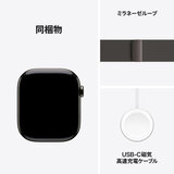 Apple Watch Series 10（GPS + Cellularモデル）- 46mmスレートチタニウムケース + ミラネーゼループ