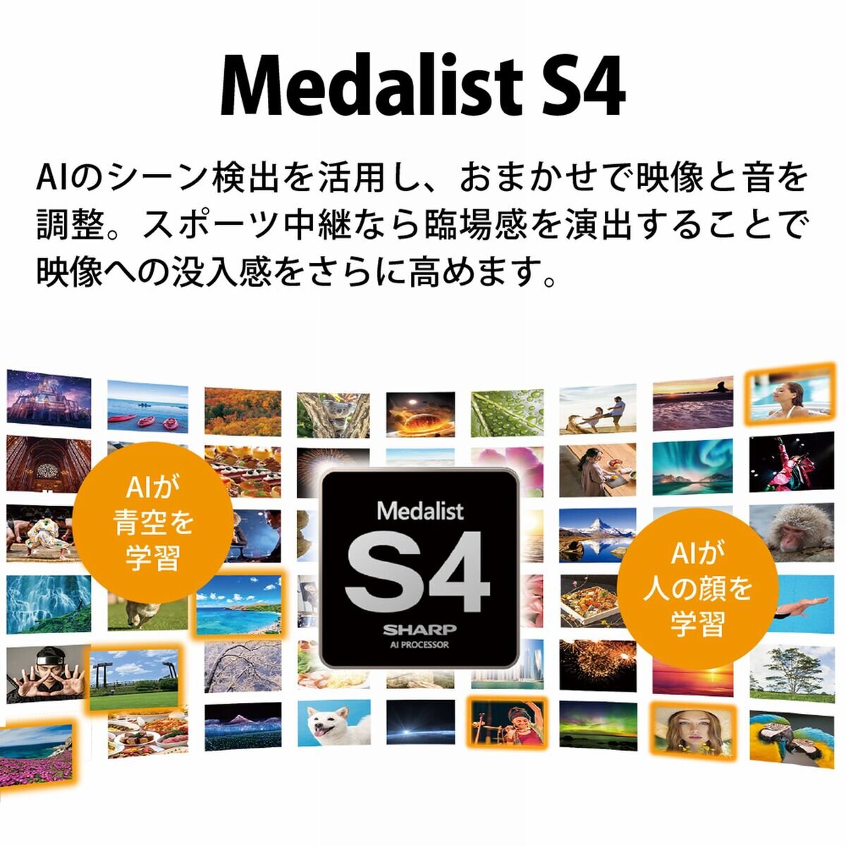 シャープ アクオス 65インチ 4K HDR液晶テレビ 4T-C65FL1 TV シャープ アクオス 65インチ 4K HDR液晶テレビ 4T-C65FL1 TV