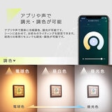 Edison Smart（エジソンスマート）ミニスポットライト ビーム角調節タイプ