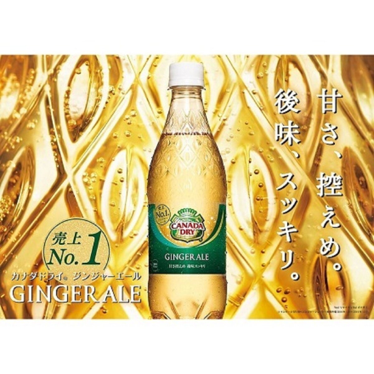 カナダドライ ジンジャーエール 350ml x 24本 x 2ケース ペットボトル | Costco Japan