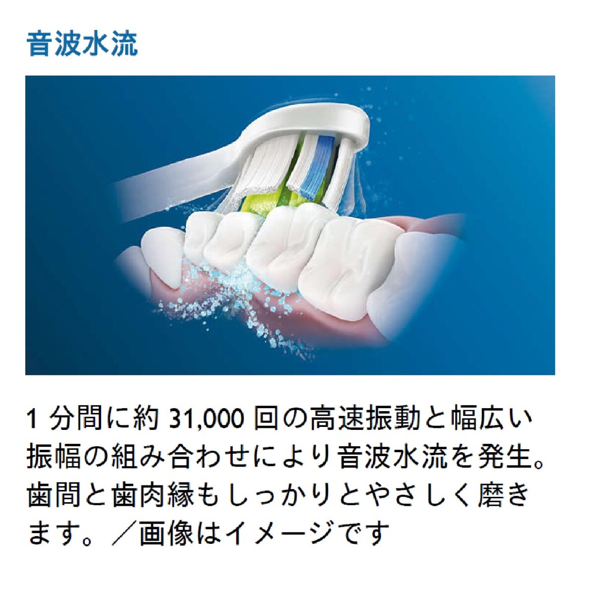 ソニッケアー プロテクトクリーン HX6403/71 2本組 | Costco Japan