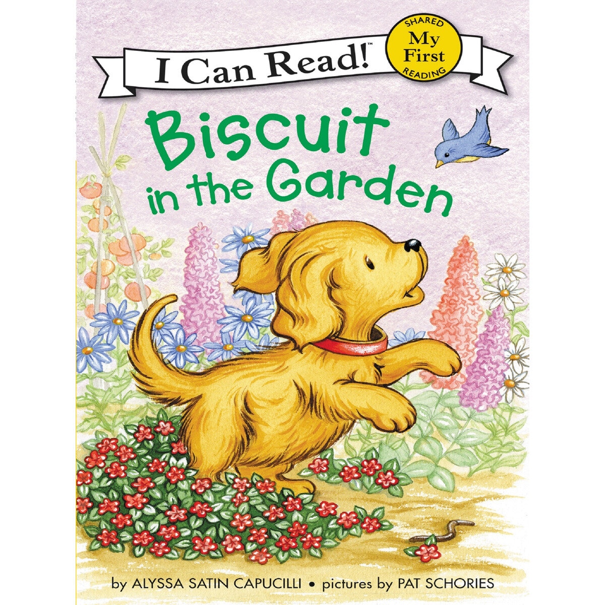 I can read my first Biscuit ビスケット 洋書 多読 - 絵本・児童書